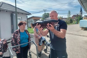 aktivnosti/FB_IMG_460