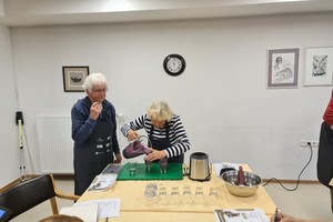 galerija/Borovnicevi-smutiji-in-Disfagija-37