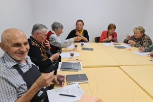 galerija/Borovnicevi-smutiji-in-Disfagija-43